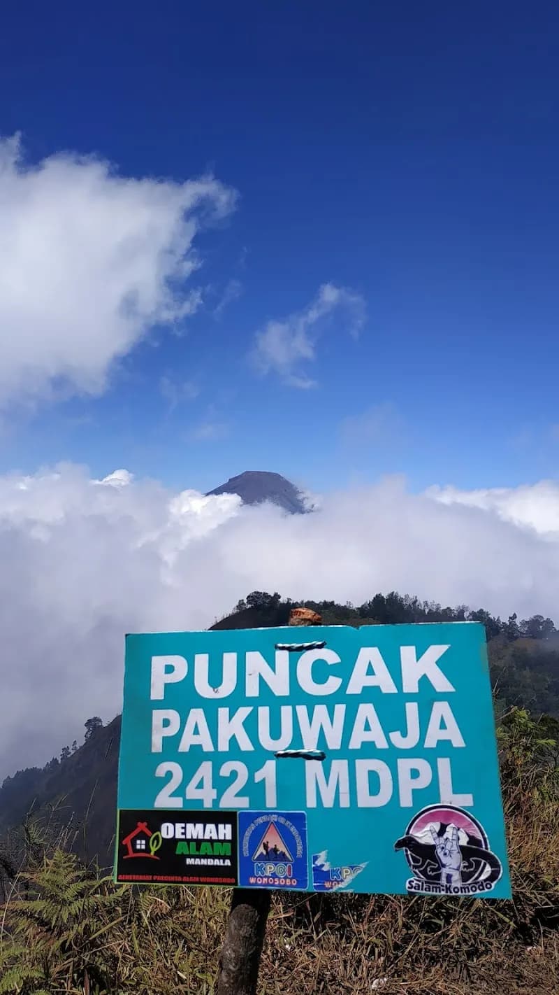 Pakuwaja - Photo 2