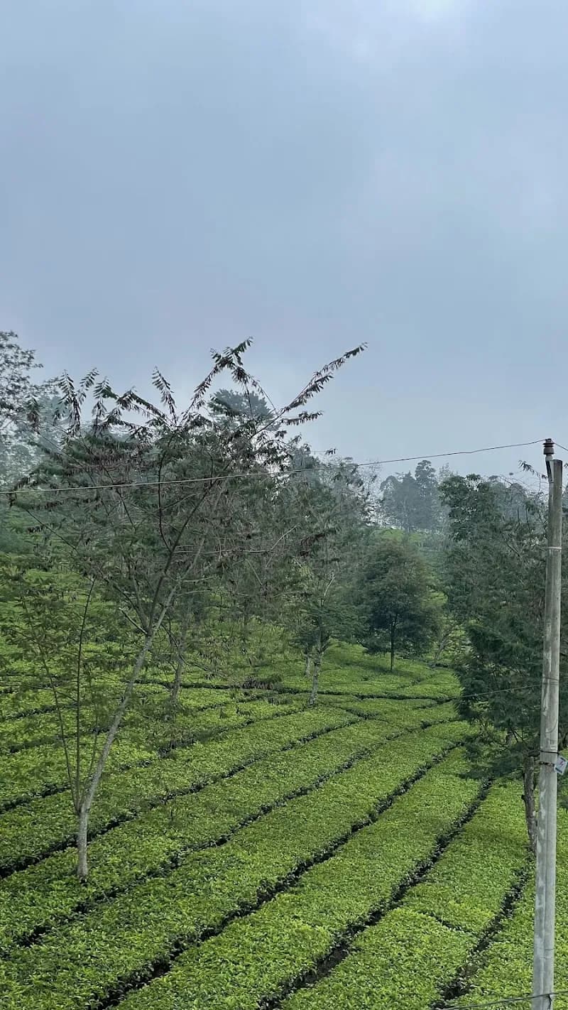 Binar Menjer Villas - Photo 4