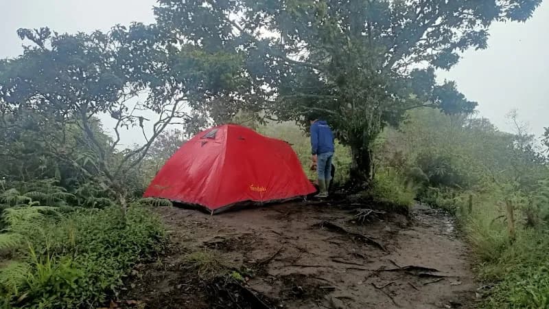 Puncak Hastinapura - Photo 4