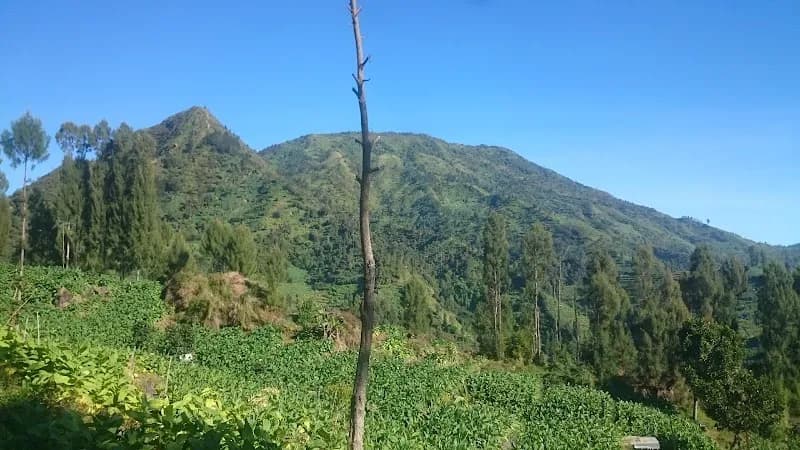 Bukit Sikendil - Photo 2