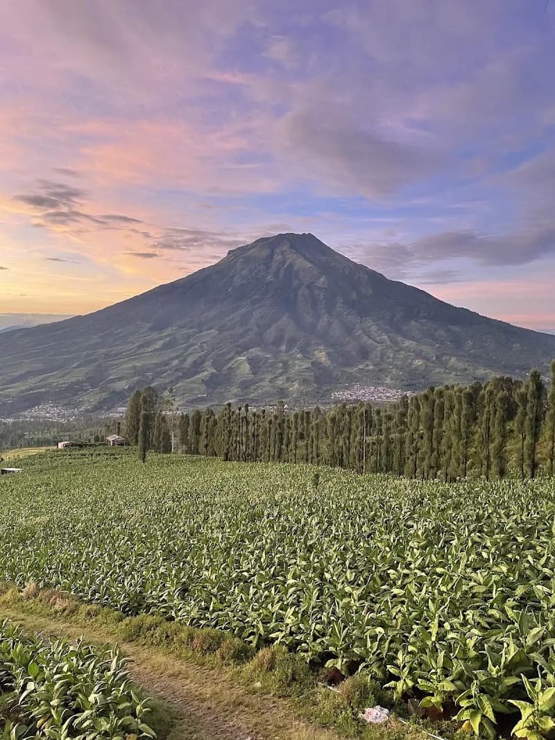Happy Trip Dieng - Photo 3