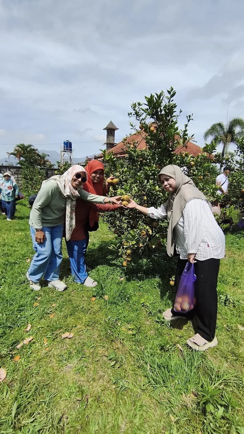 Bintang Mulia Tour Travel - Photo 3