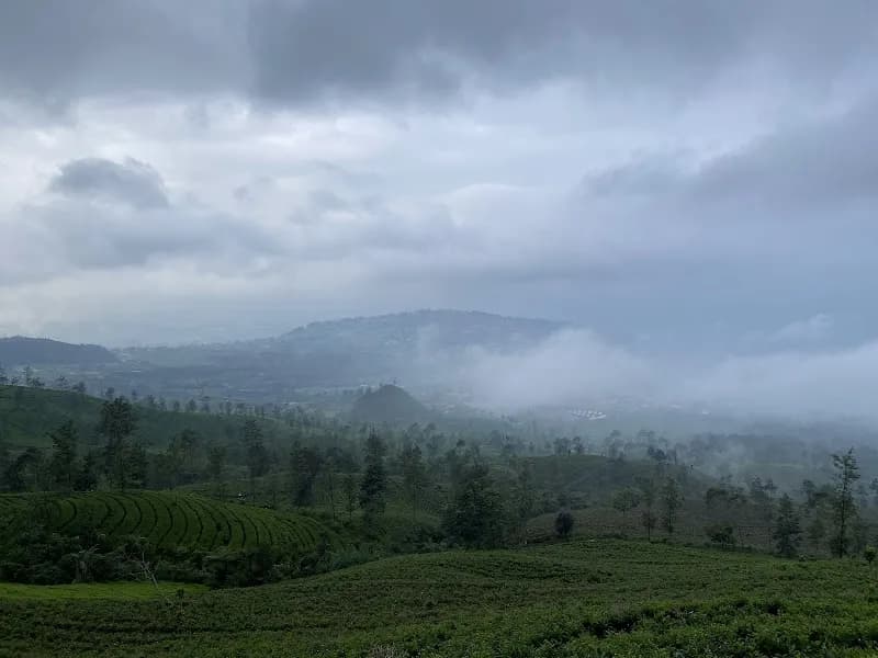 Gunung Kembang - Photo 4