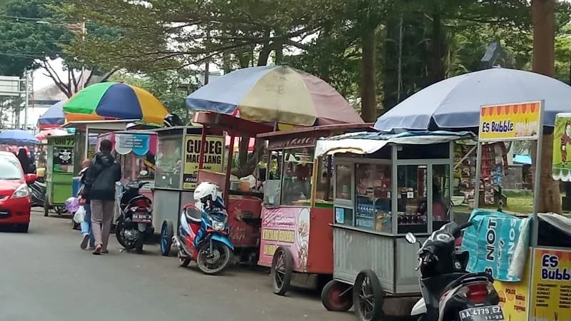 Taman Ainun Habibi - Photo 5