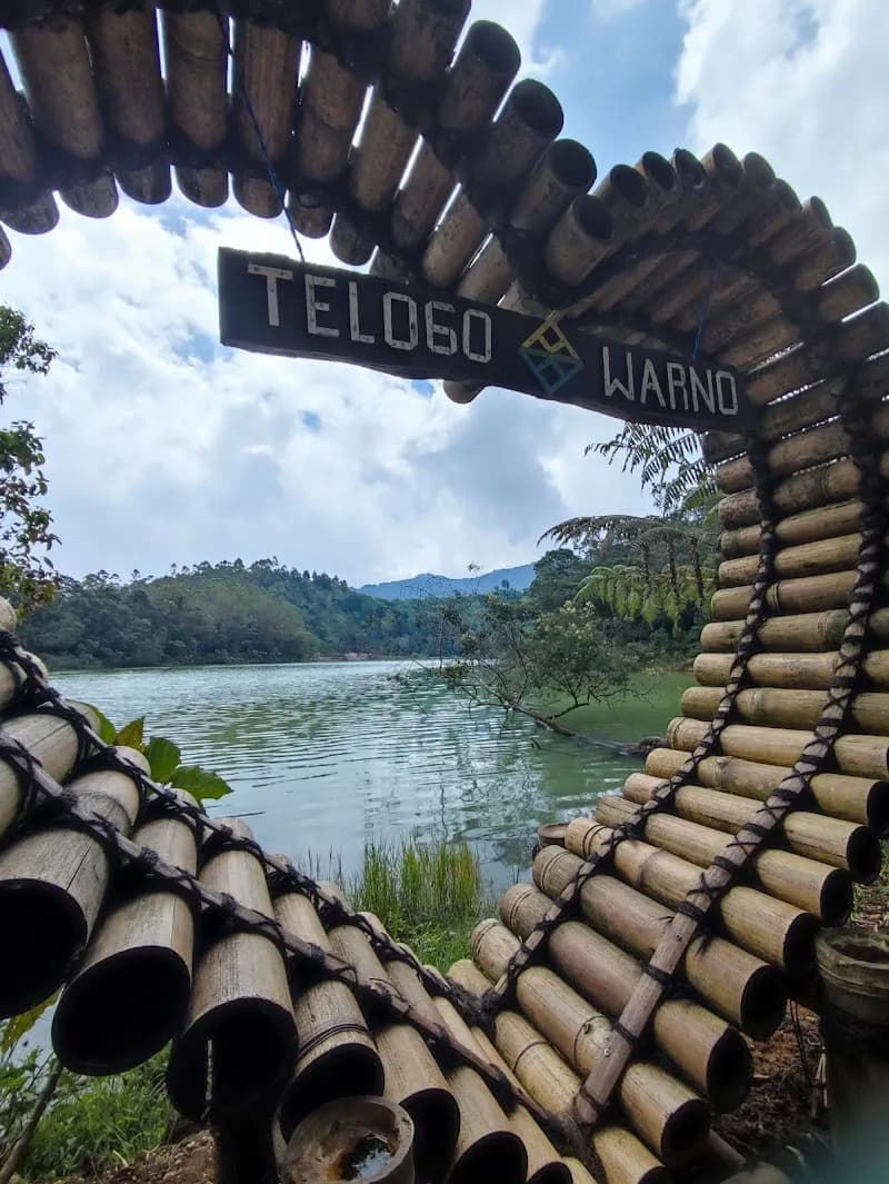 Telaga Warna - Photo 4