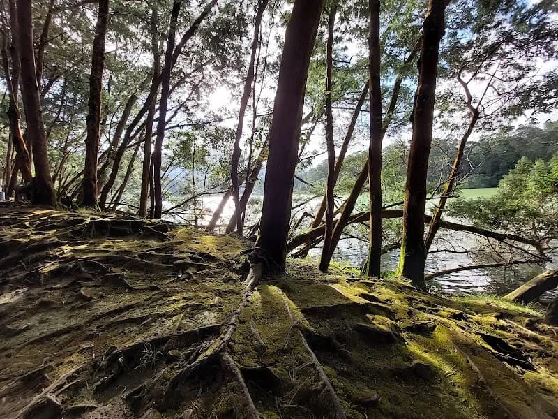 Telaga Warna - Photo 5