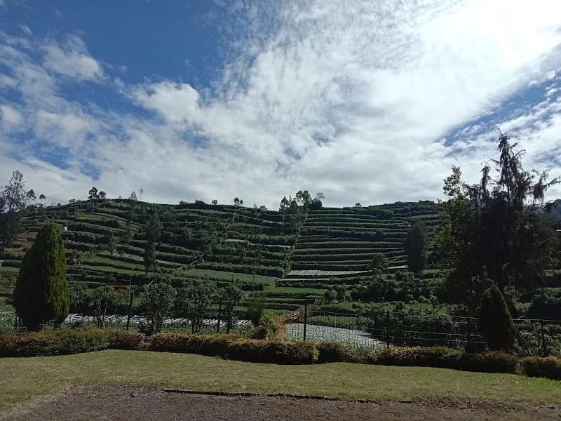 Candi Dwarawati - Photo 3