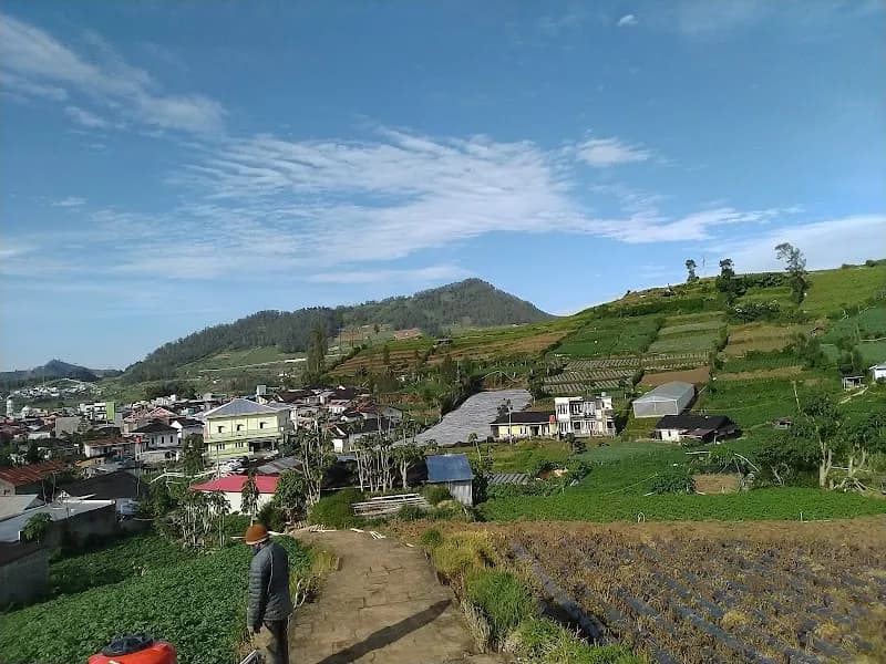 Candi Dwarawati - Photo 4