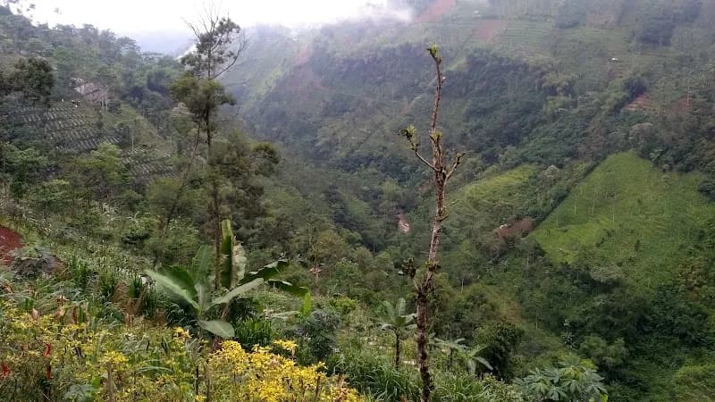 Air Terjun Sigludug - Photo 4
