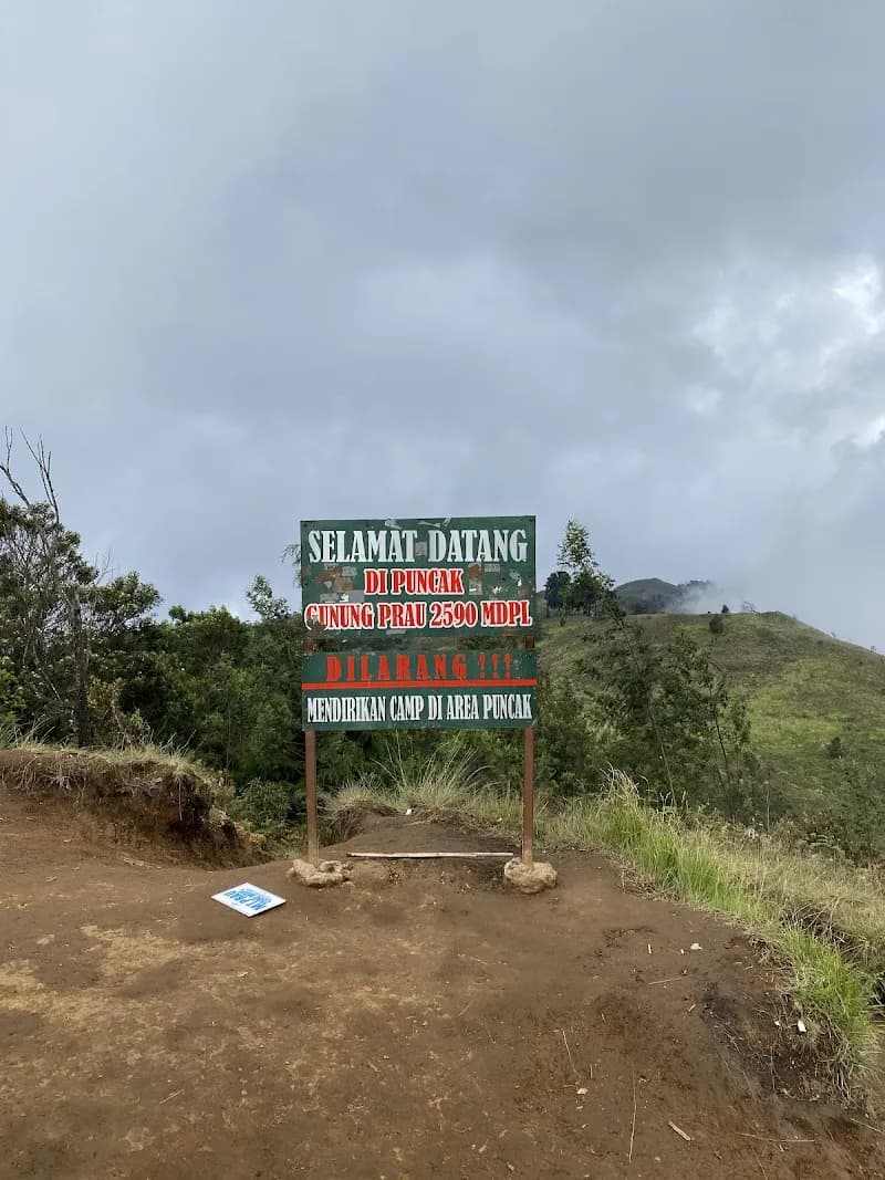 Gunung Prau - Photo 2