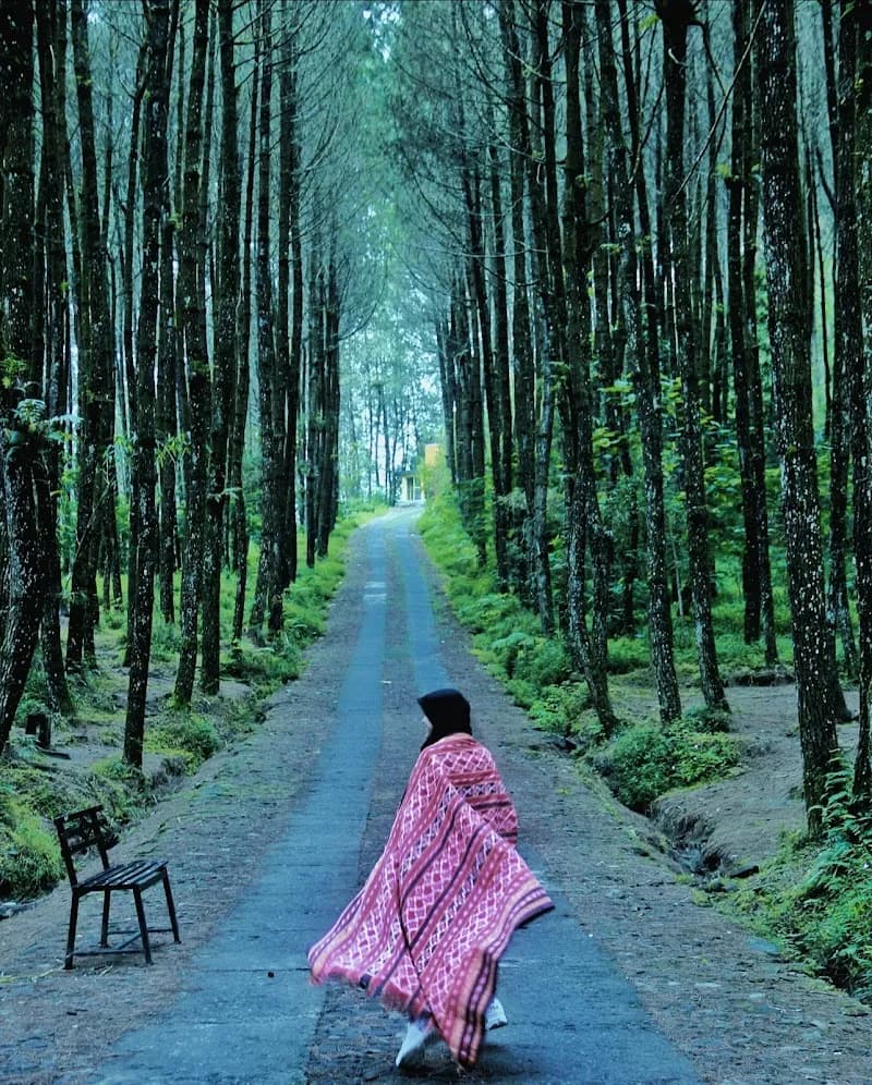 Top Selfie Pinusan Kragilan - Photo 2