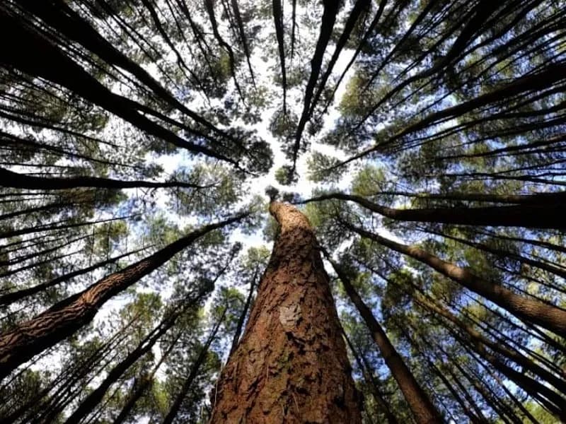 Top Selfie Pinusan Kragilan - Photo 4