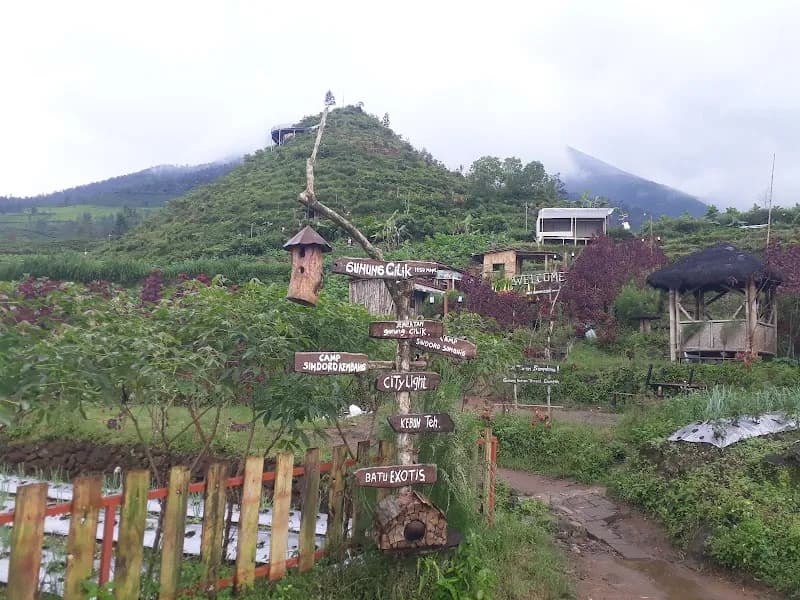 Gunung Cilik Kaliurip Wonosobo - Photo 2