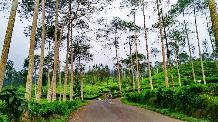 Lembah sikembang - Photo 2