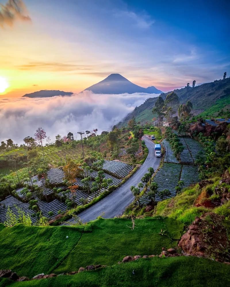 Wisata bukit awan sikapuk - Photo 4