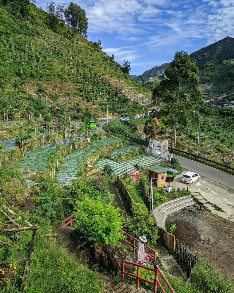 Wisata bukit awan sikapuk - Photo 5