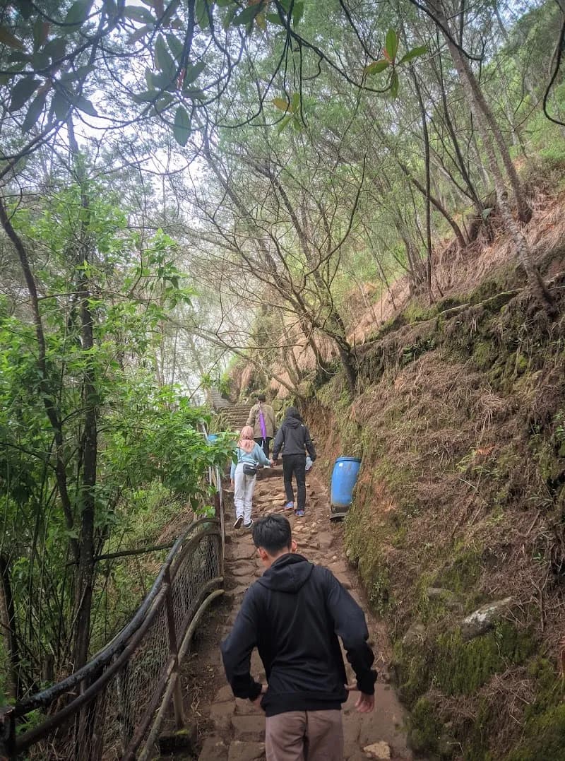 Desa wisata sembungan - Photo 3