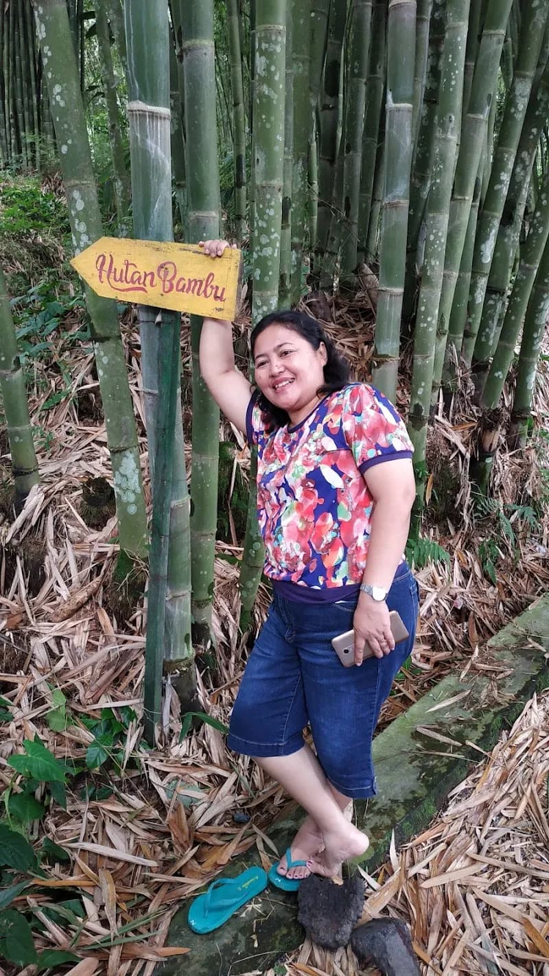 Hutan Bambu Desa Wisata Sendangsari - Photo 3