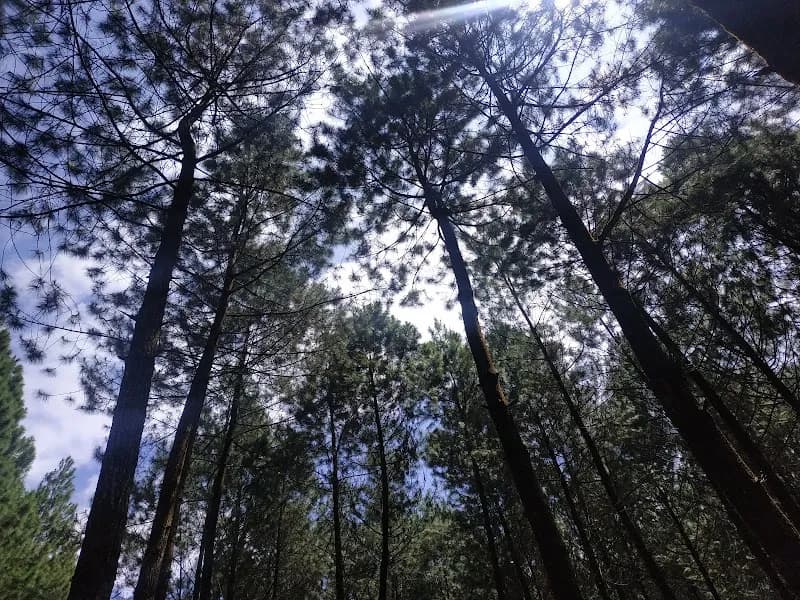 Bukit Selfie - Photo 2