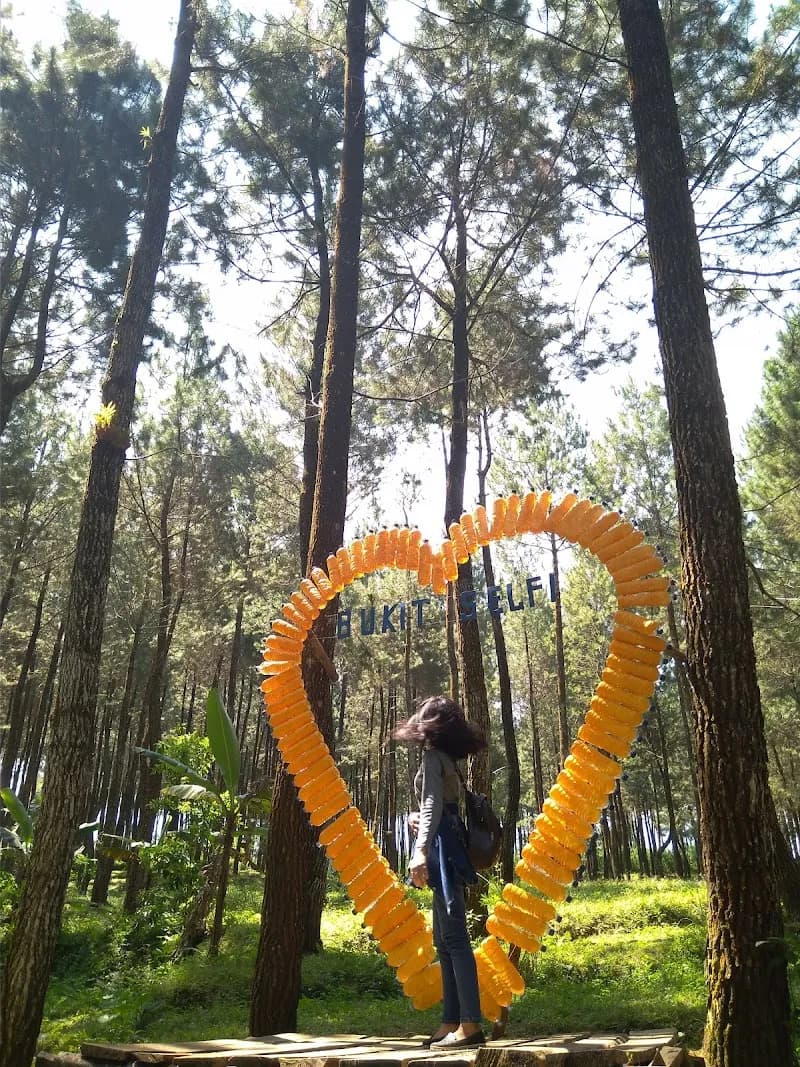 Bukit Selfie - Photo 3