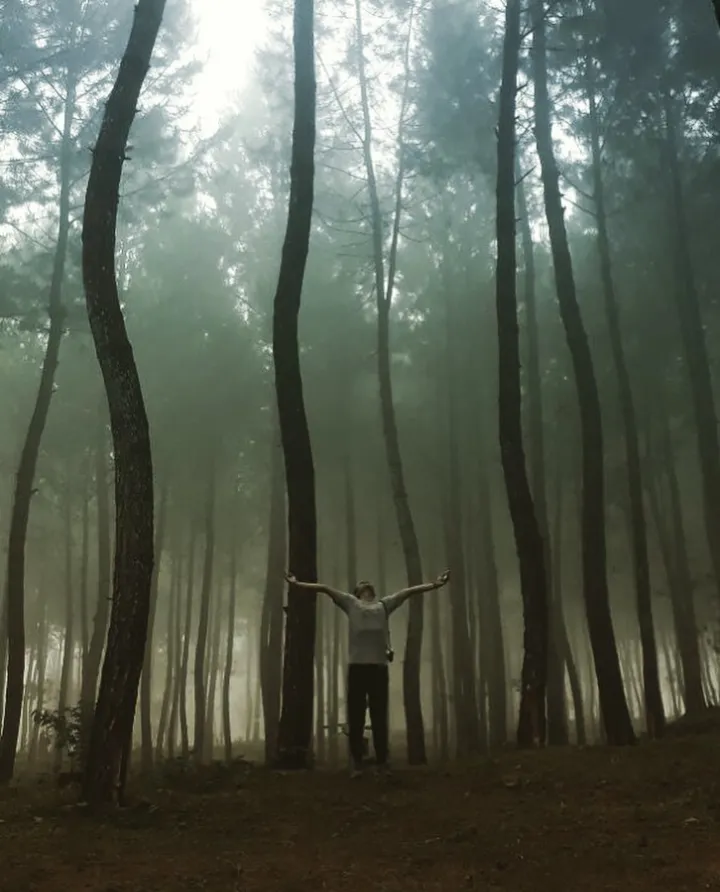 Bukit Selfie - Photo 5