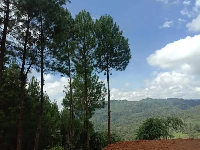 Goa Simpen - Photo 2