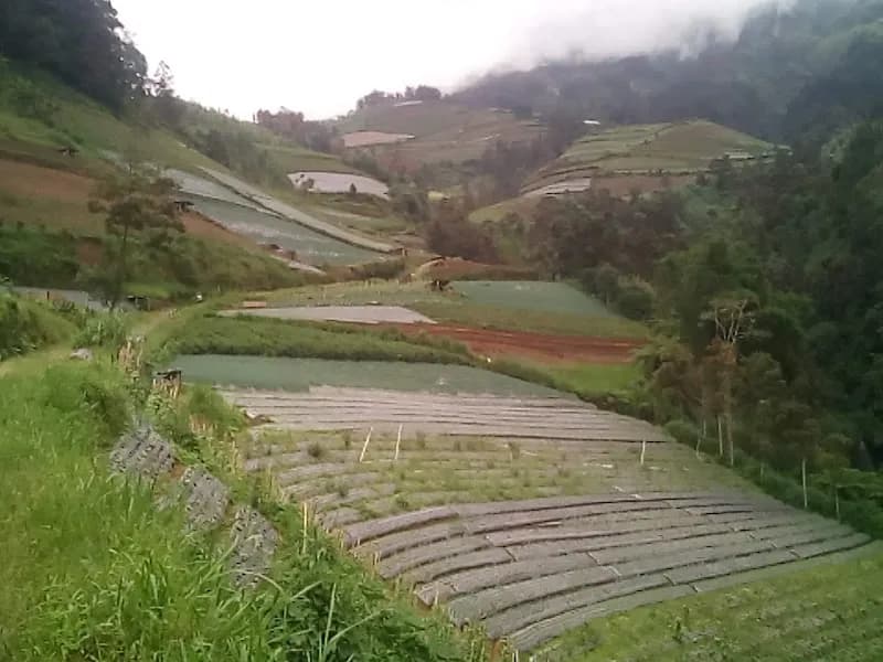 Curug Mangku - Photo 5