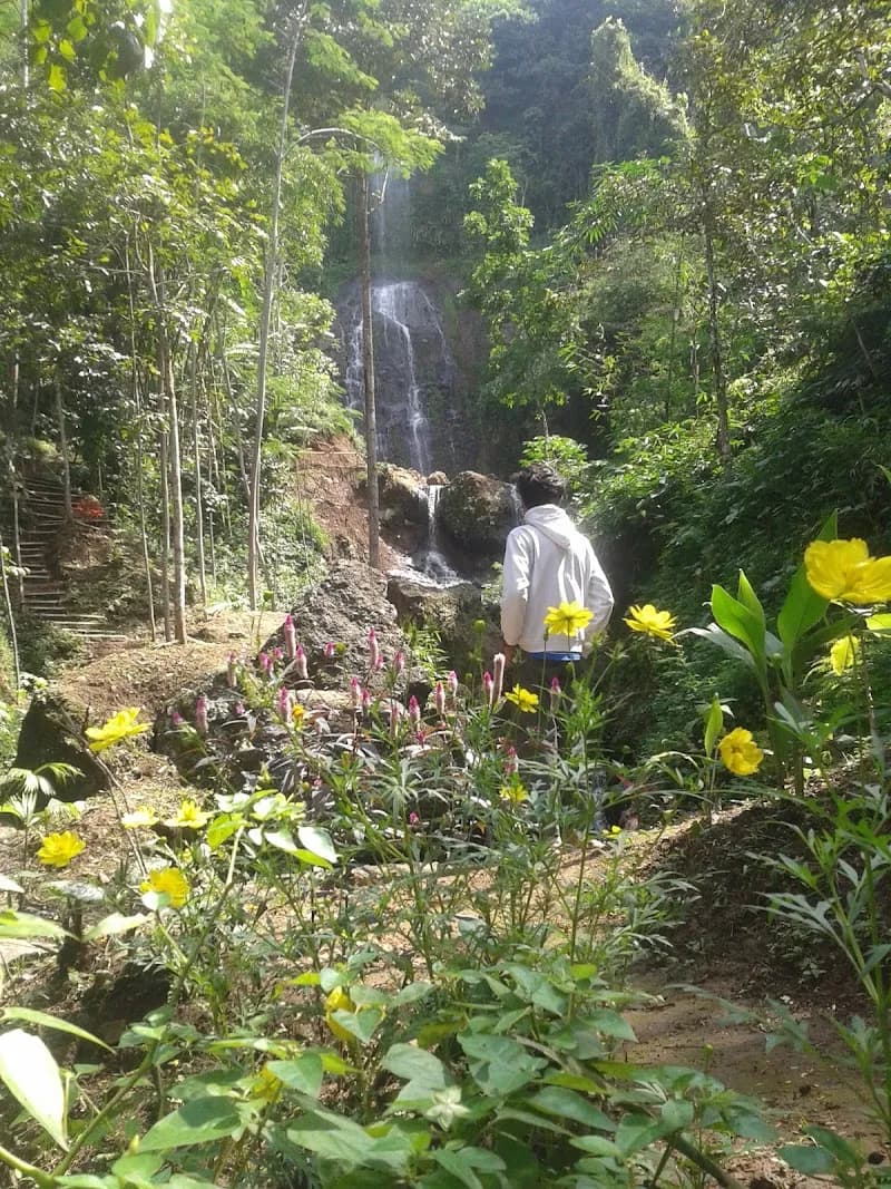 Curug Drimas - Photo 3