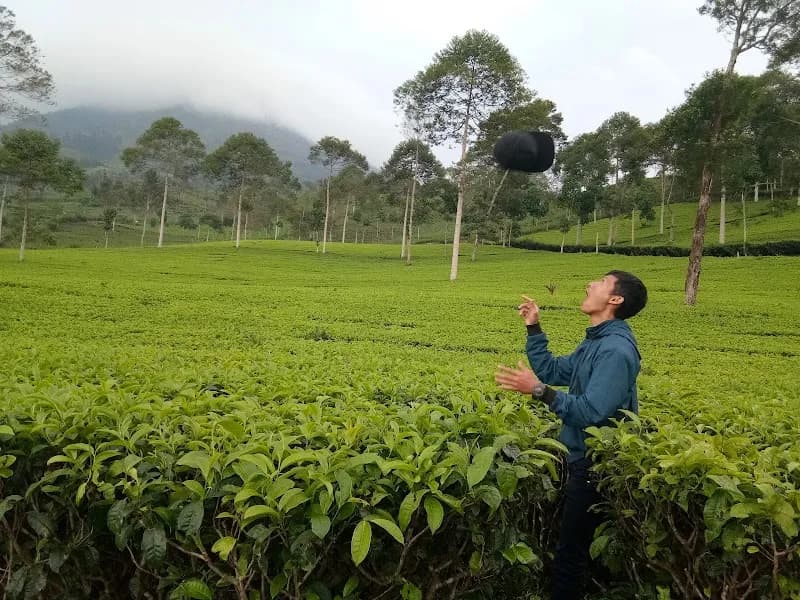 Gunung Seroja - Photo 3