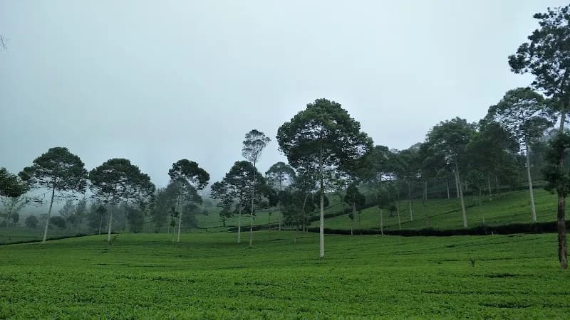 Gunung Seroja - Photo 5