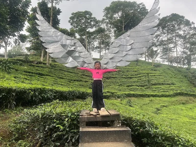 Agrowisata Tambi Tanjungsari - Photo 2