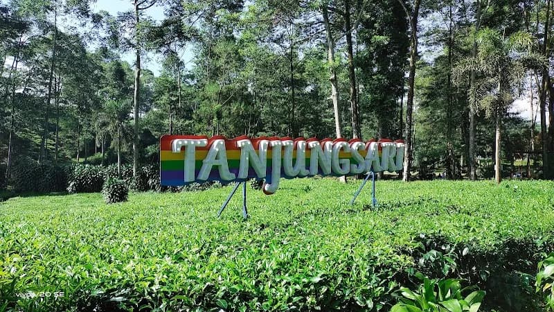 Agrowisata Tambi Tanjungsari - Photo 3
