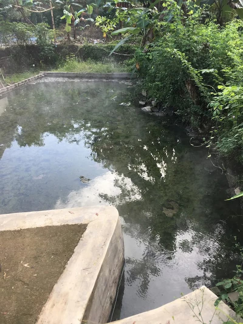 Pemandian Air Hangat Wadaslintang - Photo 3