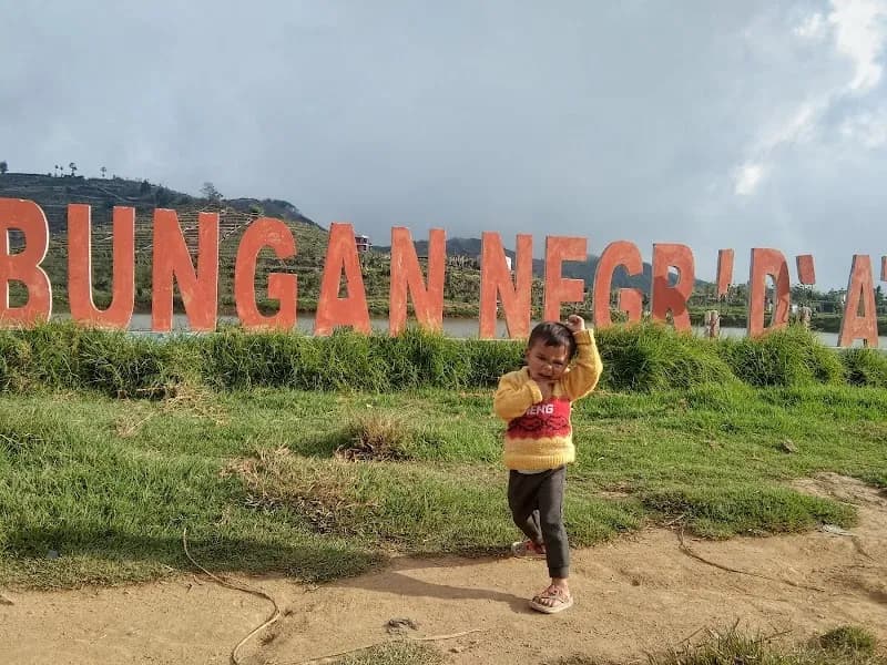 Homestay Pakuwojo Sikunir - Photo 4