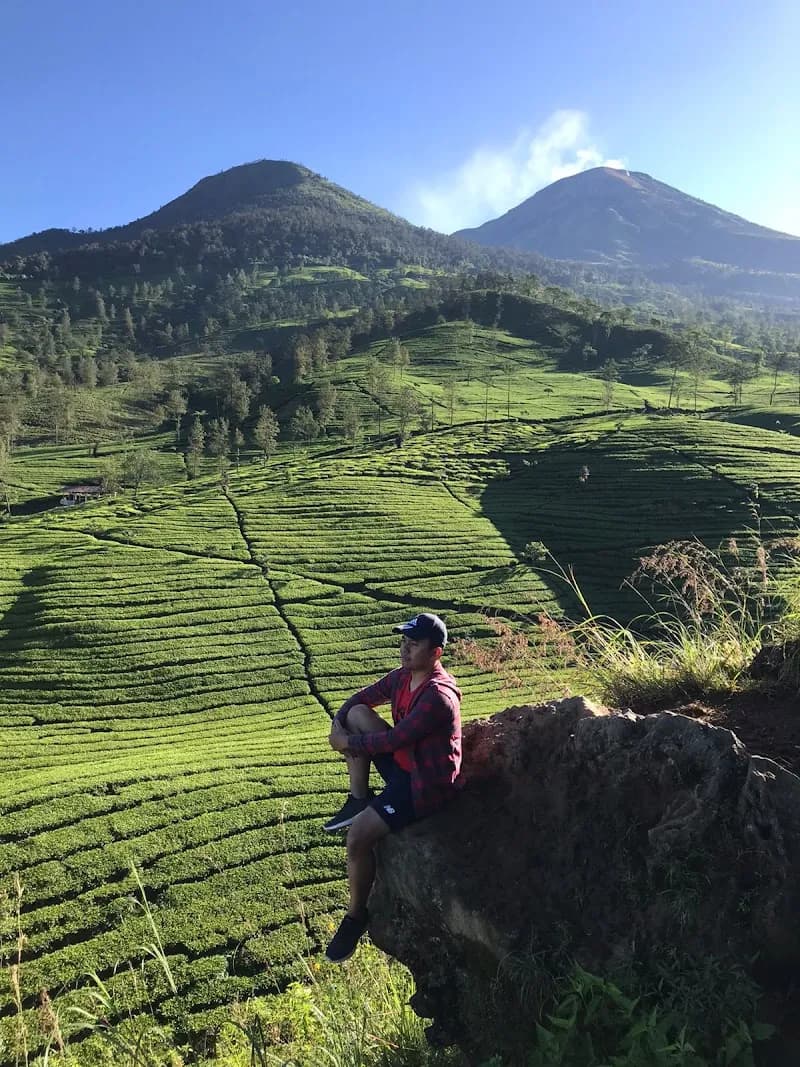 Moza House Wonosobo - Photo 5