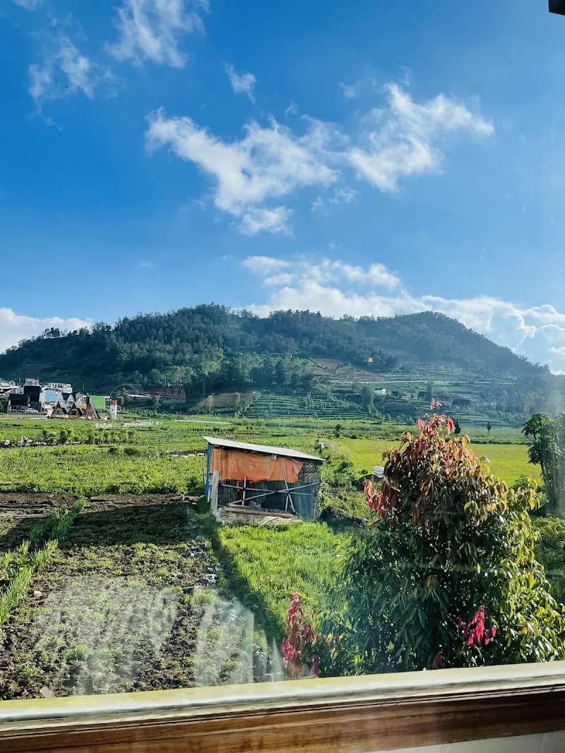 Aman Griyo Farmhouse - Photo 5