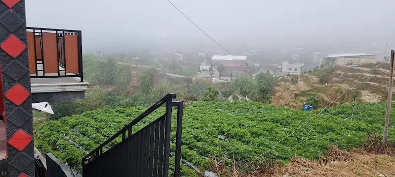 Afton Homestay Sikunir