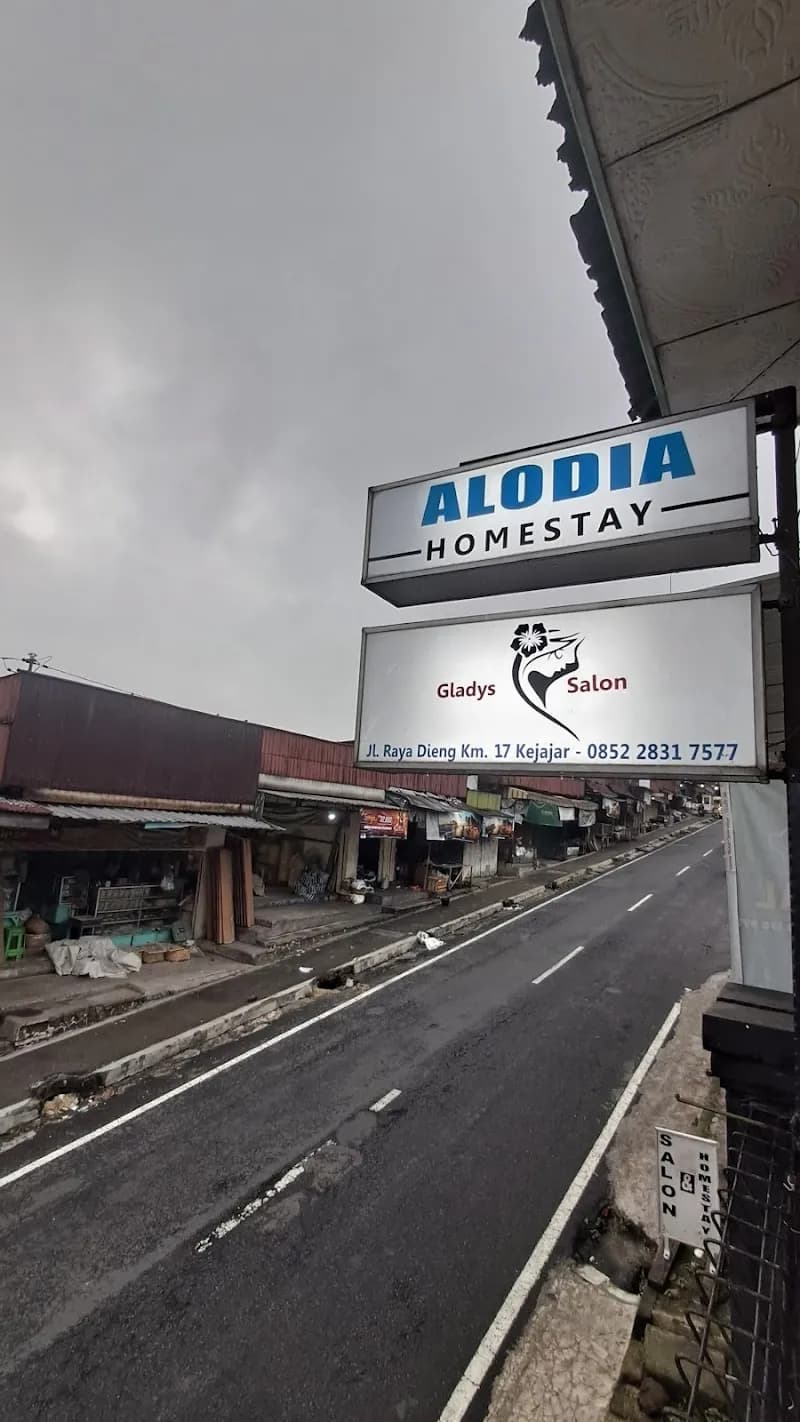 Alodia Homestay Dieng