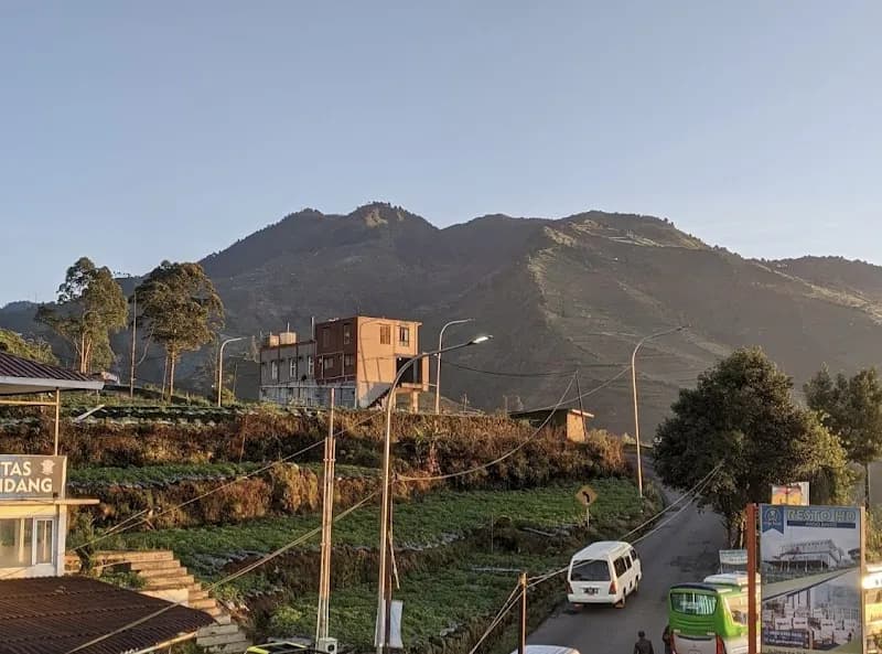 Dieng Perspective Homestay