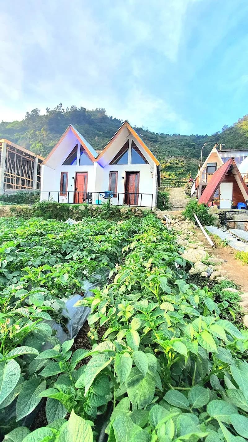 Glamping Sikunir Hill