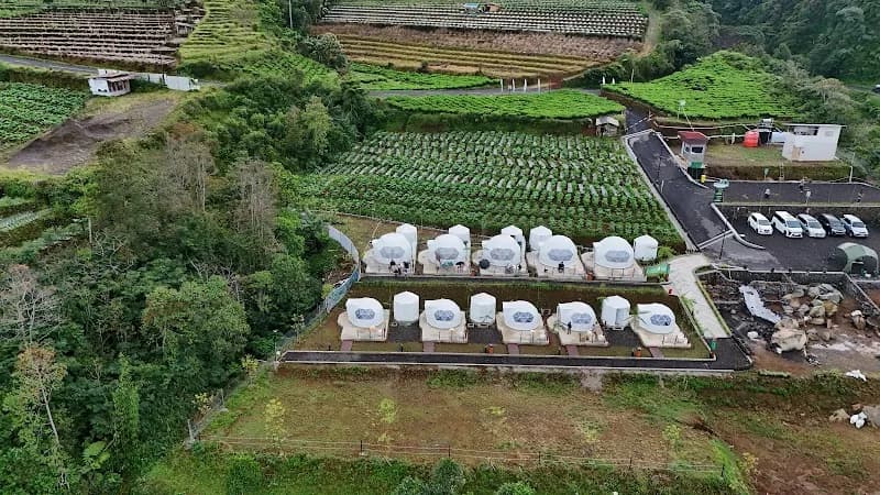 Damar Valley Glamping