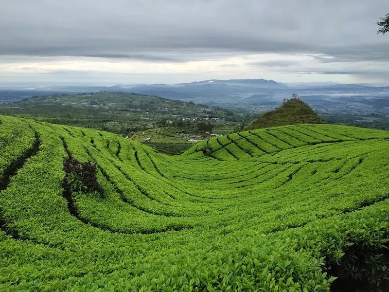 Gunung Cilik Kaliurip Wonosobo
