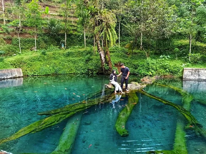 Pemandian Mata Air Mudal