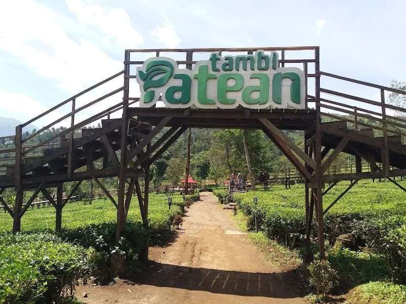 Wisata Patean Tambi
