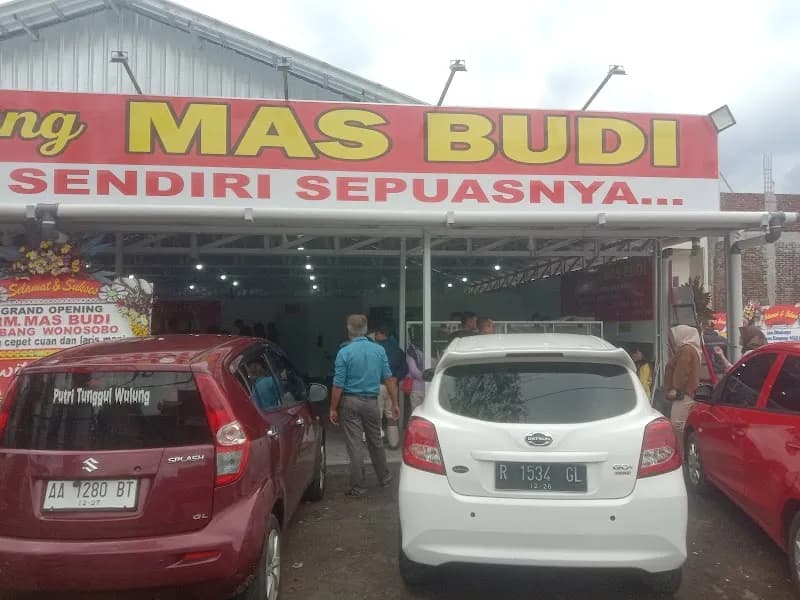 Bebek & Ayam Mas Budi