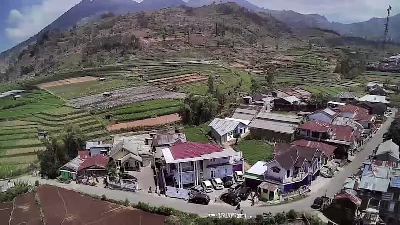 Homestay Dieng Mahameru