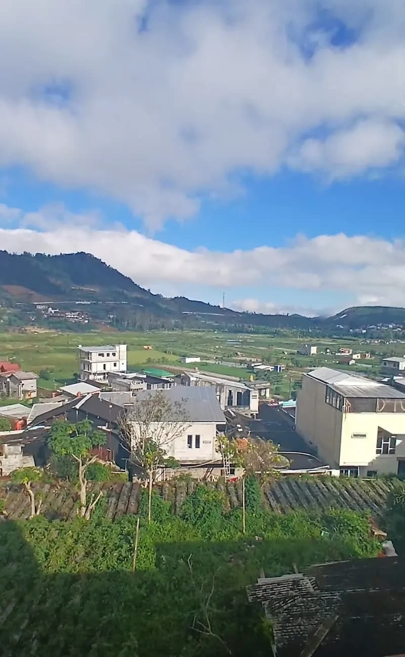 Pucuk Dieng Syariah Inn