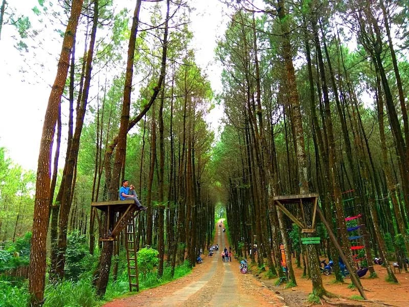 Top Selfie Pinusan Kragilan